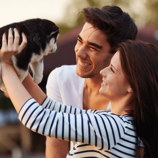 Wanna Get Pet Insurance? Here Is What You Need To Know