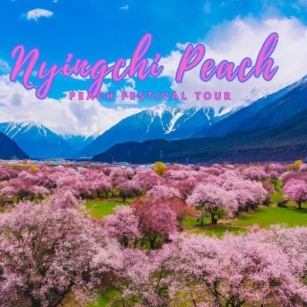 Peach Blossom Village: A Hidden Gem In Qushui County