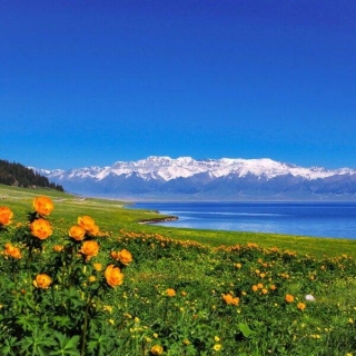 Embark On An Unforgettable Journey: China And Tibet Tours