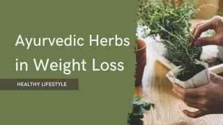 10 Ayurvedic Herbs That Help In Weight Loss