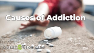 Addiction: Definition, Types, Effect, And Treatment