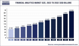 Demystifying Financial Analytics Software: Development, Implementation, And Business Impacts