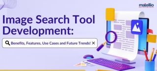 Image Search Tool Development: Benefits, Features, Use Cases And Future Trends!