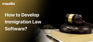 How To Develop Immigration Law Software?