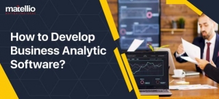 How To Develop Business Analytic Software?