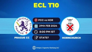 PCC Vs HOR Player Stats | Prague CC Vs Hornchurch European T10 Cricket League