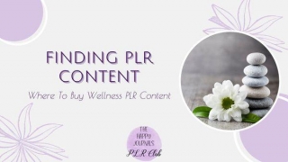 Where To Buy Wellness PLR Content