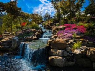 Planning A Summer Getaway To Pigeon Forge TN
