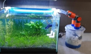 How To Keep Beneficial Bacteria Alive In Aquarium Filter