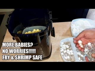 How To Setup Fry & Shrimp Safe Aquarium Canister Filter