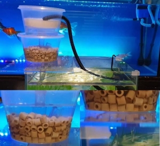 Where Should I Install Bio Media In My Aquarium Filter?