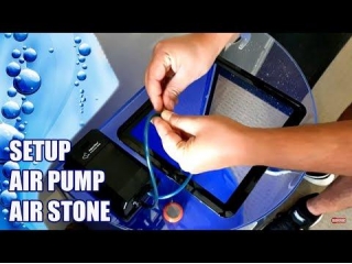 Benefits Of Air Pump & Air Stone - Pros Of Bubbler