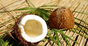 Coconut: Pros, Cons, And Nutrition