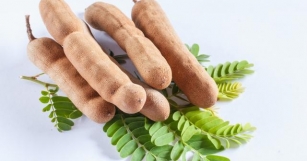 Tamarind: Pros, Cons, And Nutrition