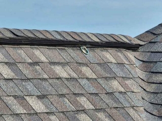Why Proper Attic Ventilation Is Good For Your Roof