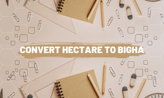 Convert Hectare To Bigha | Online Convertor