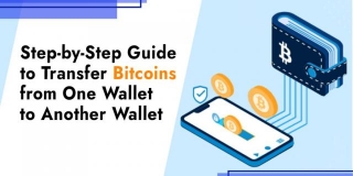 How To Transfer Bitcoins From One Wallet To Another Wallet ?[2024]
