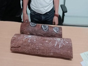 CISF Nab Vietnamese National With Prohibited Red Sandalwood Worth Rs 25 Lakhs At Delhi Airport