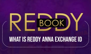 Top Reddy Anna Exchange ID | Get Your ID In 5 Minute