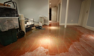 How To Choose The Right Public Adjuster For Your Water Damage Insurance Claim
