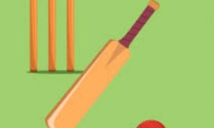 WHAT IS AN CRICKET MATCH: