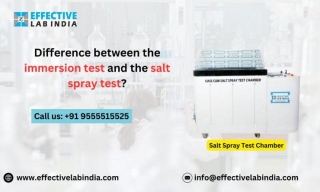 What Are  The Difference Between The Immersion Test And The Salt Spray Test?