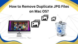How To Remove Duplicate JPG Files On Mac OS? - Smart Guide