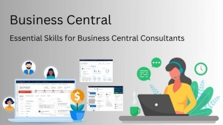Essential Skills For Business Central Consultants