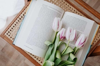 Complete Spring Reading Essentials And Bookish Products