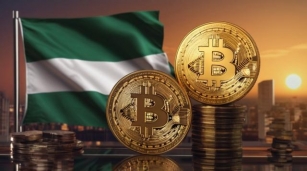 Crypto Ban On Nigerian Exchanges Raises Concerns