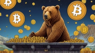 Analysts Predict Bitcoin Price Drop: What’s The Floor?