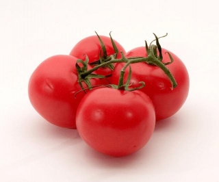 FREE Tomato Garden Kit With FREE Shipping