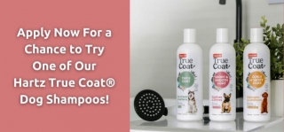 FREE Hartz True Coat Dog Shampoo