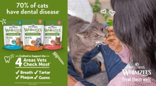 FREE Sample Of Wellness Whimzees Cat Dental Treats