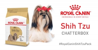 FREE Royal Canin Shih Tzu Chatterbox