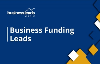 BUSINESS FUNDING LEADS