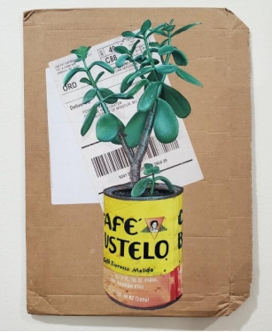 Used Envelopes Hold Thriving Potted Plants In Fidencio Fifield-Perez’s ‘Dacaments’