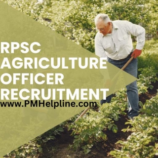 RPSC Agriculture Officer Recruitment 2024 Apply Online For 25 Posts