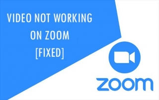 8 Proven Ways To Fix Video Not Working On Zoom