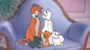 Disney’s Live-Action Hybrid Reimagining Of ‘The Aristocats’ Reportedly Still In Development