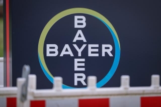 Bayer Hat Die Latte Tief Gelegt