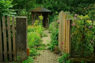 Create A Beautiful Garden With These Cottage Garden Ideas