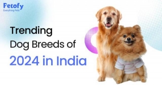 Trending Dog Breeds Of 2024 In India