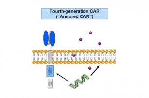 ASCO: New ‘Armored’ CAR Therapy Shows Significant Responses In Cancers Resistant To Current CAR T Cell Therapies