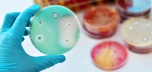 New Triple Drug Combination Shows Promise Against Antibiotic-Resistant Bacteria