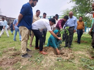 World Environment Day Observed At AMU