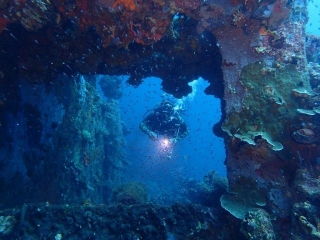 Popular Palawan Diving Spots