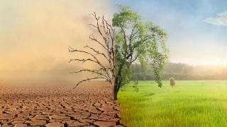 Climate Change To Cause 19% Global Income Reduction By 2050, Finds Study
