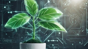 Salk Scientists Utilize AI To Develop Carbon-Capturing Plants In Fight Against Climate Change
