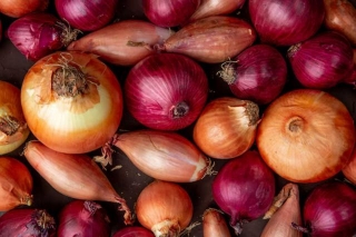 Government Imposes 40% Duty On Onion Exports Effective May 4